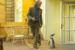 『ペンギン・レッスン』場面カット｜写真2