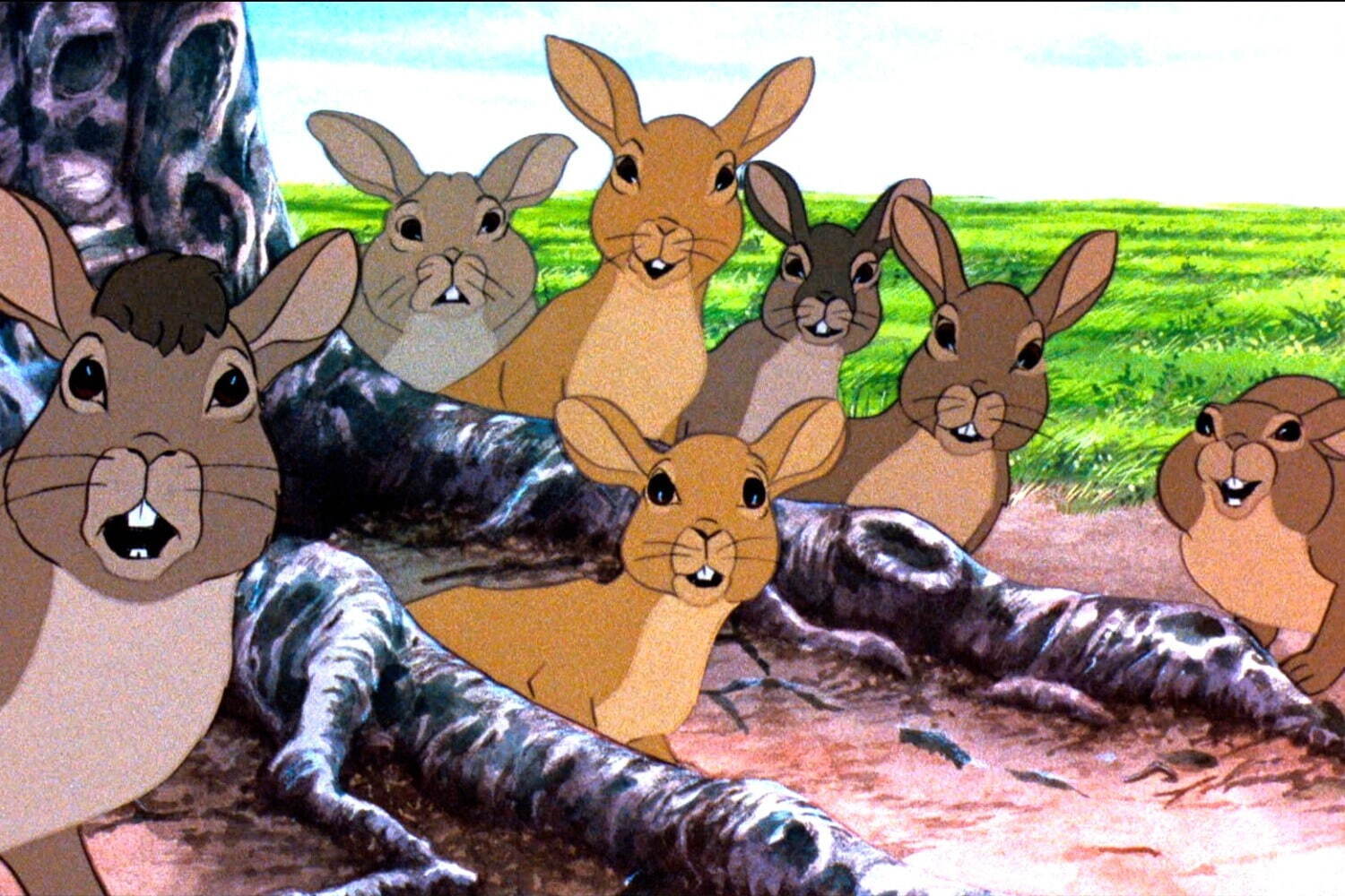 ウォーターシップダウンのうさぎたち 画像1枚目