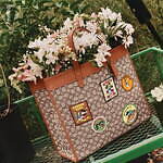 コーチ(COACH) ディズニー｜写真38