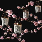 diptyque Fleur de Cerisier キャンドル diptyque-sakura2024-