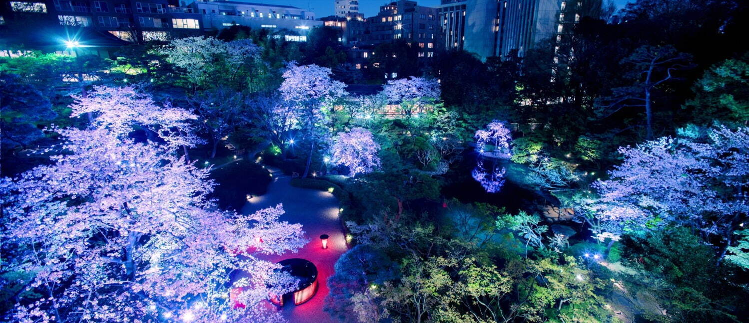 「Garden Light Up」
※写真は過去のライトアップ時の様子