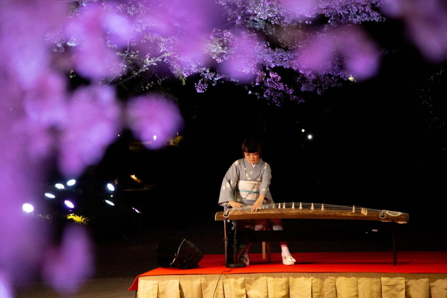 東京・白金台「八芳園」の春イベント、桜色の庭園ライトアップや週末限定グルメスポット「白金横丁」｜写真4