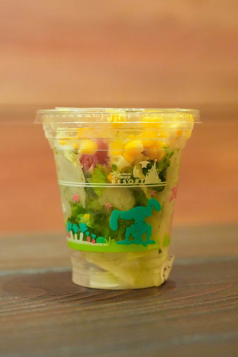 東京ディズニーシーの新エリア「ラプンツェルの森」ランタンに包まれるアトラクション＆レストラン解説｜写真128