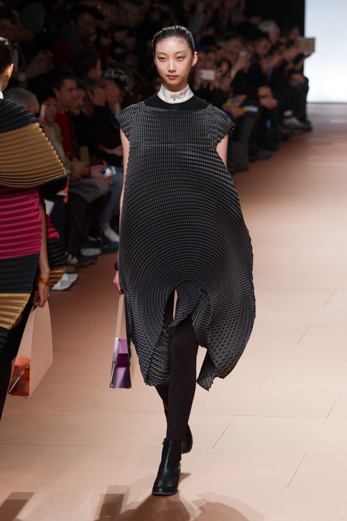 イッセイ ミヤケ(ISSEY MIYAKE) 2014-15年秋冬ウィメンズコレクション  - 写真8