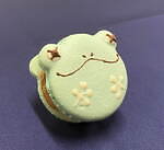 サンシャイン水族館の特別展「毒毒毒毒毒毒毒毒毒展 リミックス」毒生物約25種、スカンク刺激臭体験も｜写真15