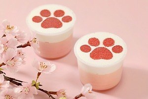 パステル(Pastel) さくら咲くプリン｜写真3