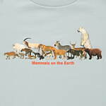 ユニクロ(UNIQLO) 国立科学博物館｜写真4