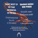 ユニクロ(UNIQLO) 国立科学博物館｜写真6