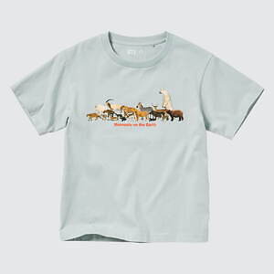 ユニクロ(UNIQLO) 国立科学博物館｜写真3