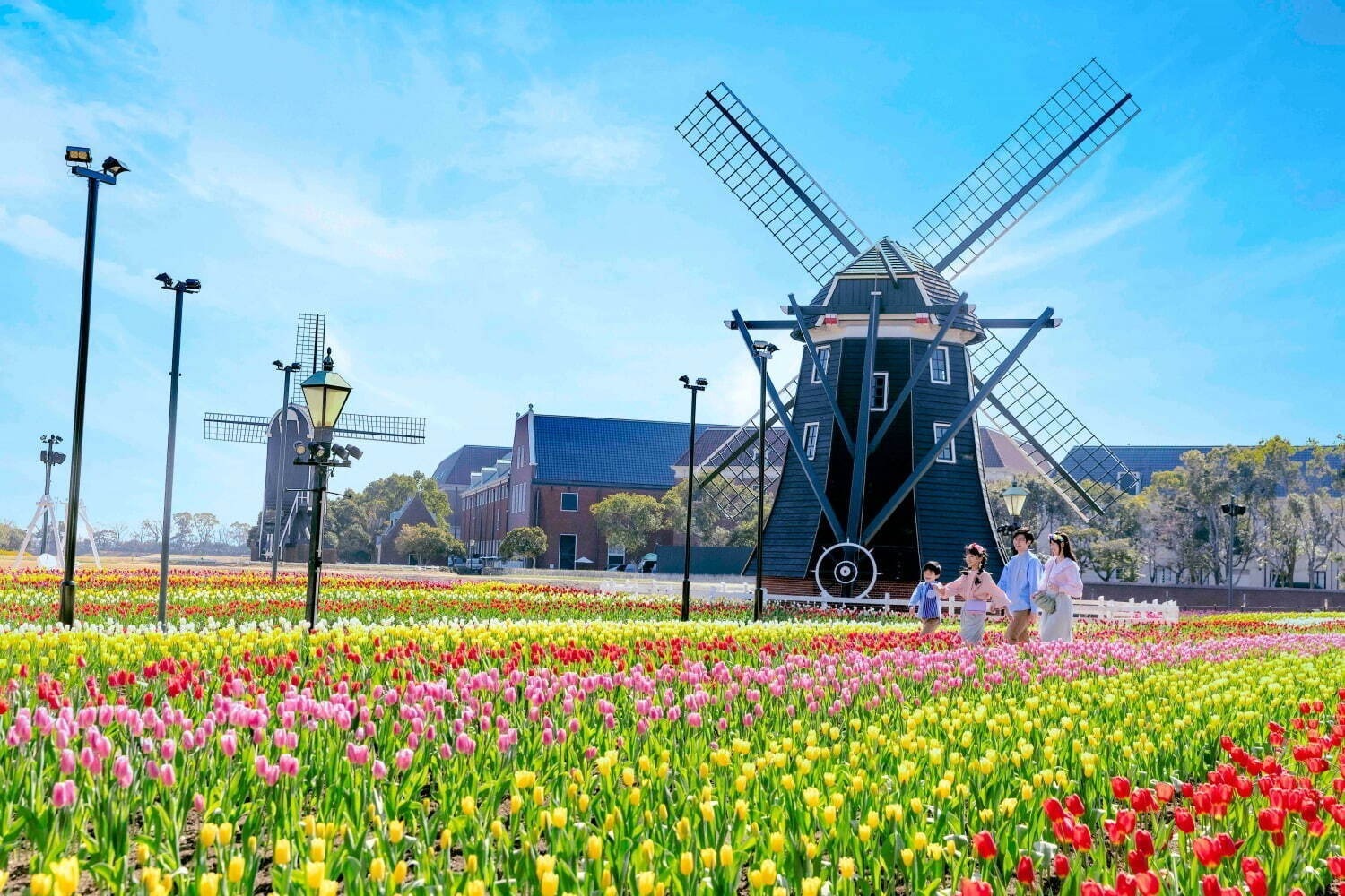 【全国の花見イベント2023】東京＆観光地のおすすめ公園など、桜の名所～フラワーガーデンまで｜写真5