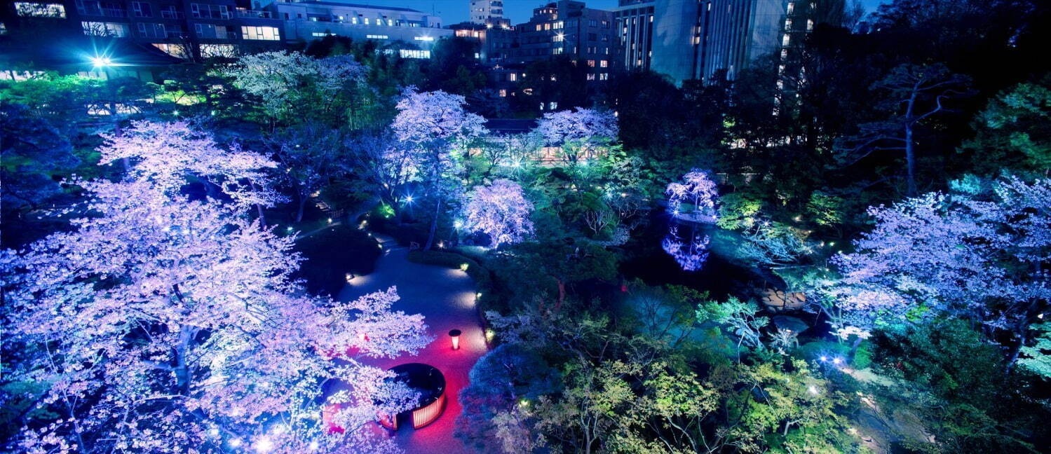 【全国の花見イベント2023】東京＆観光地のおすすめ公園など、桜の名所～フラワーガーデンまで｜写真2