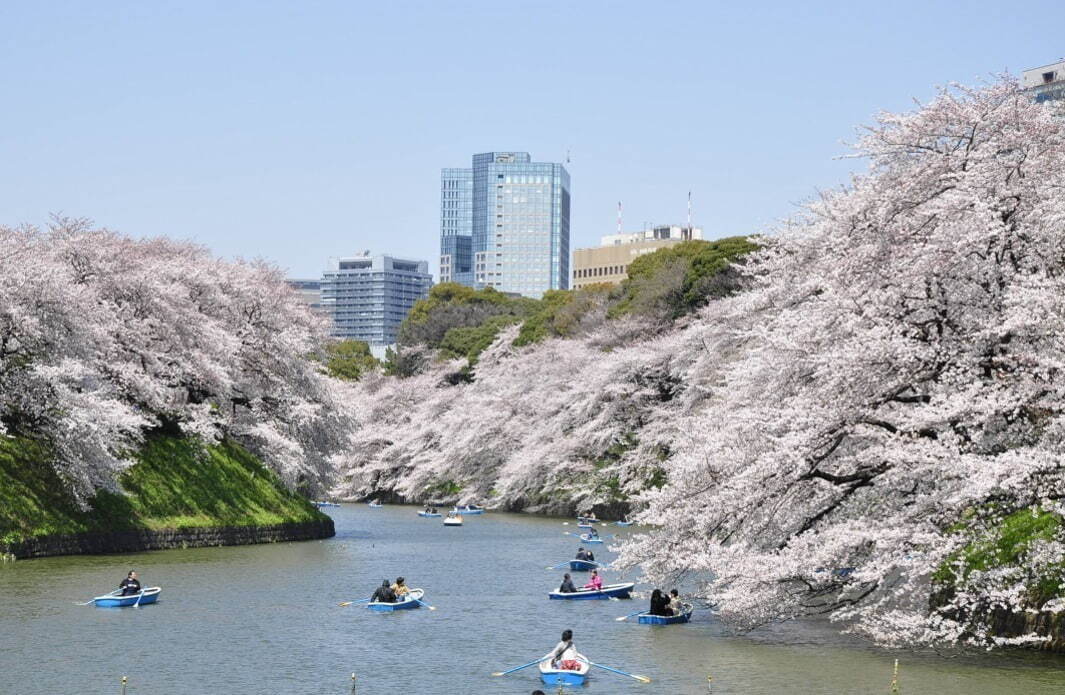 【全国の花見イベント2023】東京＆観光地のおすすめ公園など、桜の名所～フラワーガーデンまで
