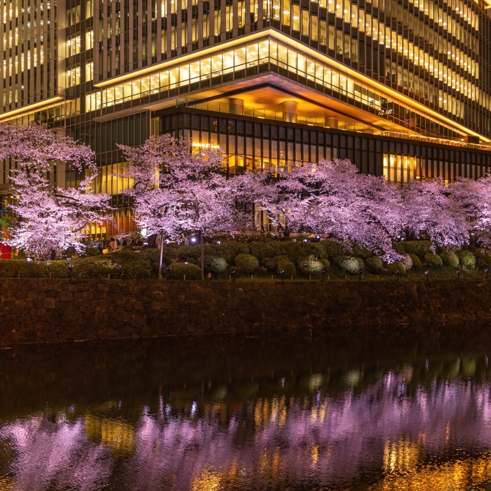 東京ガーデンテラス紀尾井町の春イベント「紀尾井・花の駅」夜桜の虹色ライトアップ＆桜スイーツ｜写真7