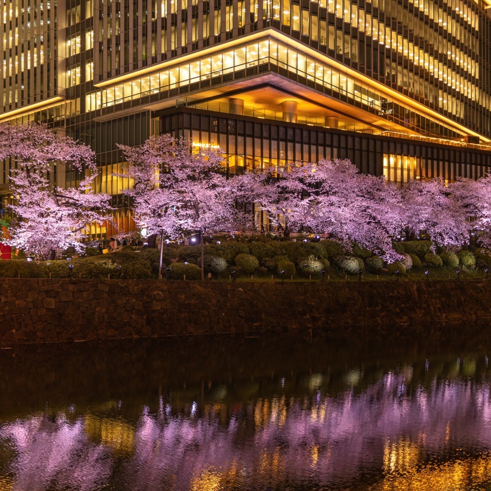 東京ガーデンテラス紀尾井町の春イベント「紀尾井・花の駅」夜桜の虹色ライトアップ＆桜スイーツ｜写真7