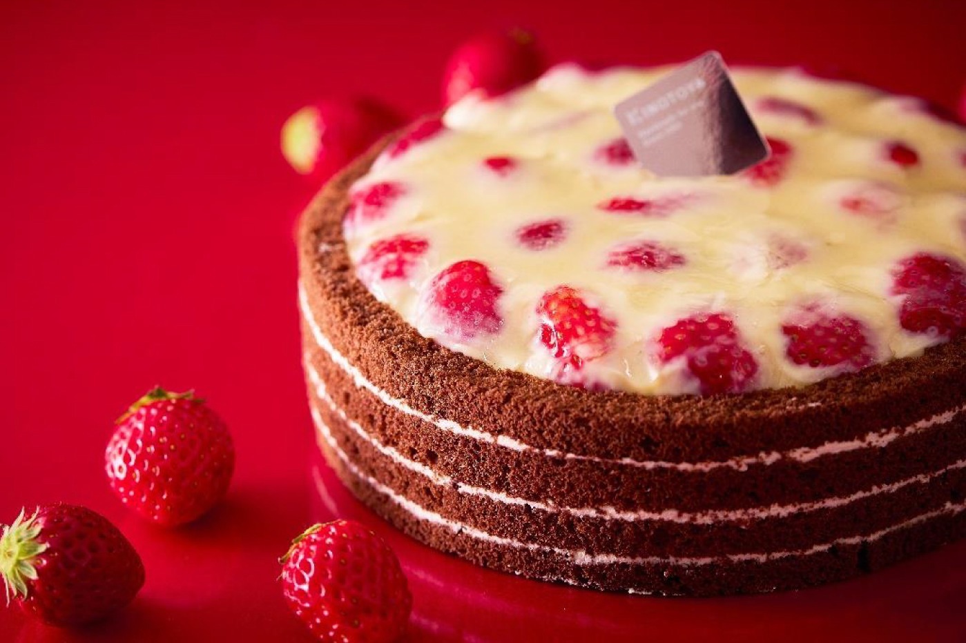 北海道｜きのとや人気No.1“苺たっぷり”ケーキ、旬のいちご×とろけるカスタード×バター香るクッキー生地