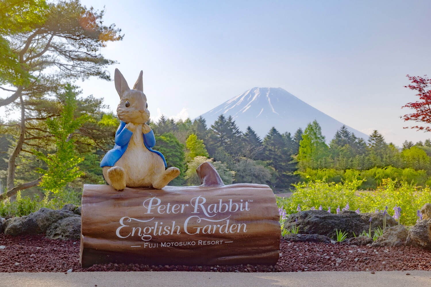 約50万株の芝桜×富士山の絶景が楽しめる「2023富士芝桜まつり」山梨県・富士河口湖で｜写真3