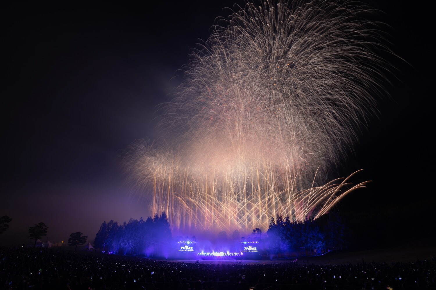 ディズニーの名曲がシンクロする花火エンターテイメント、広島・大阪・沖縄など全国7か所で開催｜写真8