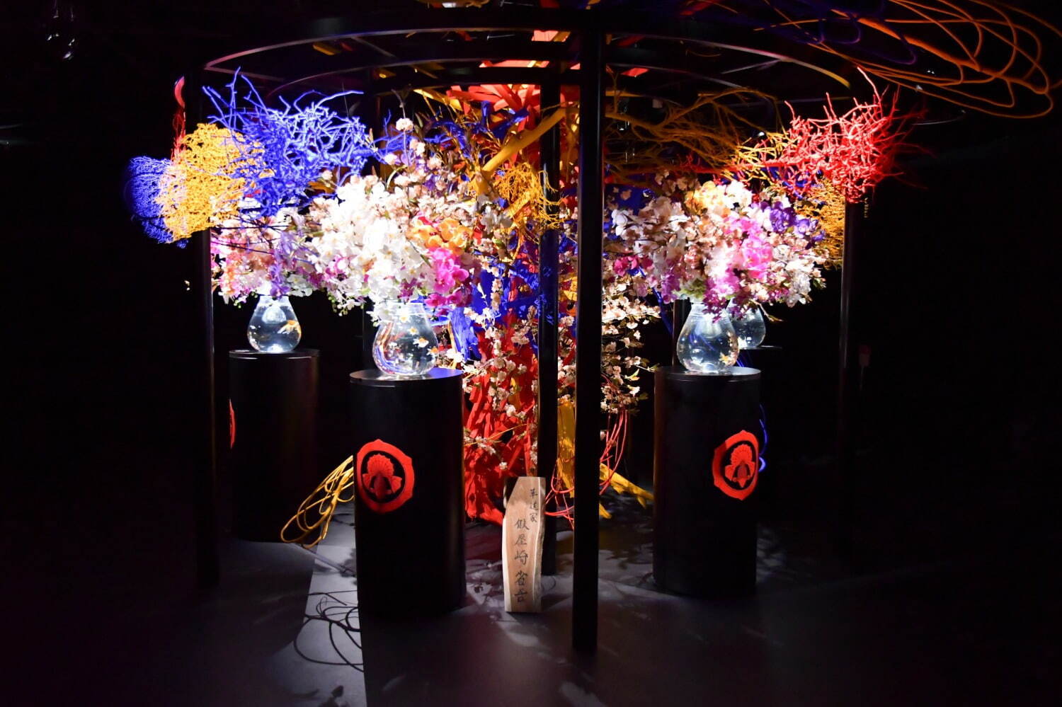 金魚アート「アートアクアリウム美術館 GINZA」“桜×金魚”の春イベント、満開の桜トンネルも｜写真6