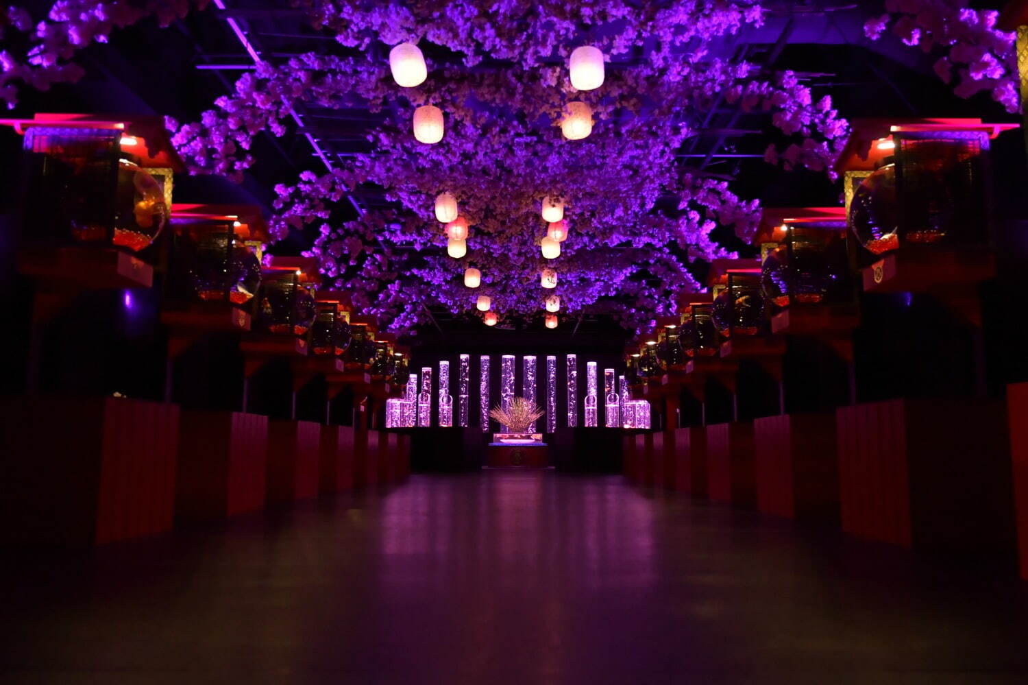 金魚アート「アートアクアリウム美術館 GINZA」“桜×金魚”の春イベント、満開の桜トンネルも｜写真2