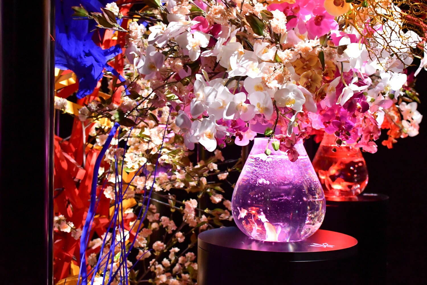 金魚アート「アートアクアリウム美術館 GINZA」“桜×金魚”の春イベント、満開の桜トンネルも｜写真7