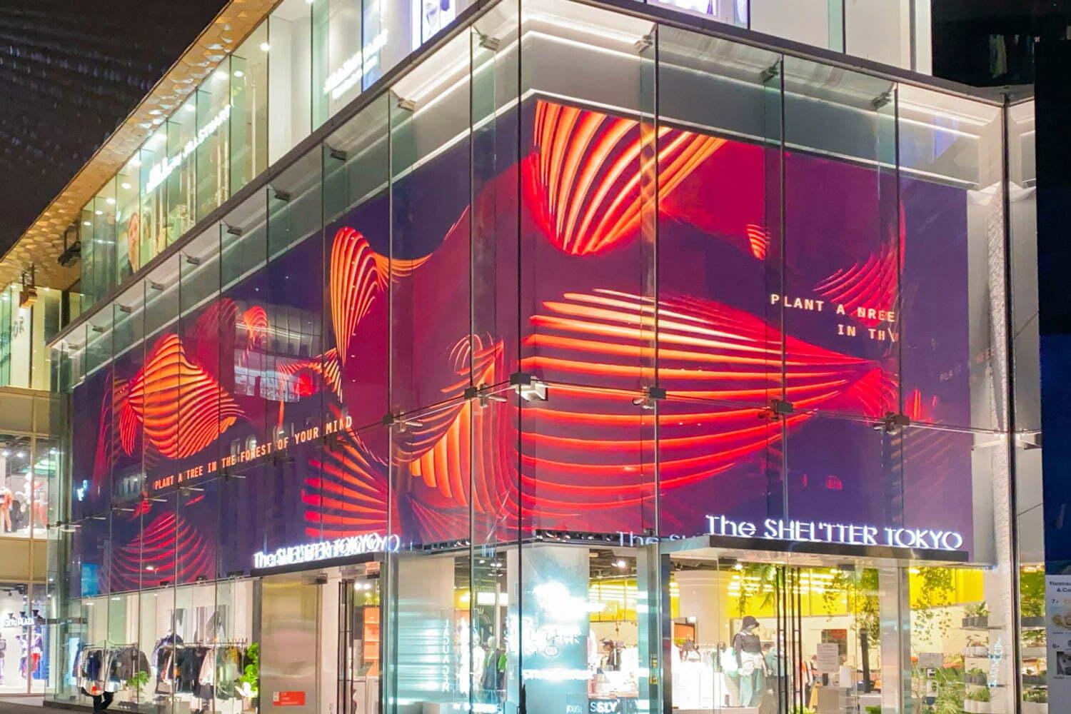 原宿「ザ シェルター トーキョー」がリニューアル、花屋やアートギャラリーを併設＆限定アイテムも