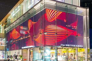 原宿「ザ シェルター トーキョー」がリニューアル、花屋やアートギャラリーを併設＆限定アイテムも