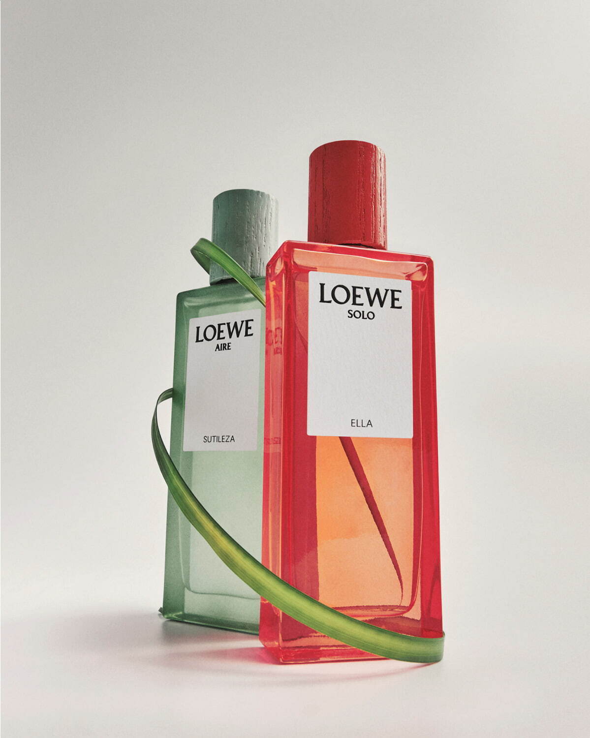 ロエベ フレグランスの限定香水セット、“組み合わせて楽しむ”2つのフローラル系の香り｜写真12