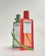 ロエベ フレグランスの限定香水セット、“組み合わせて楽しむ”2つのフローラル系の香り｜写真12