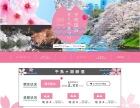 「千代田のさくらまつり」4年ぶりに開催、桜の名所・千鳥ヶ淵緑道をライトアップ｜写真8