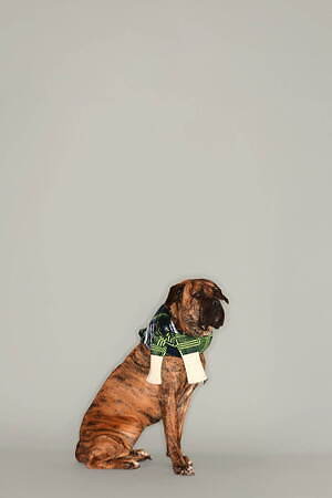 メリル ロッゲ(Meryll Rogge) 2023-24年秋冬ウィメンズ&メンズコレクション  - 写真27