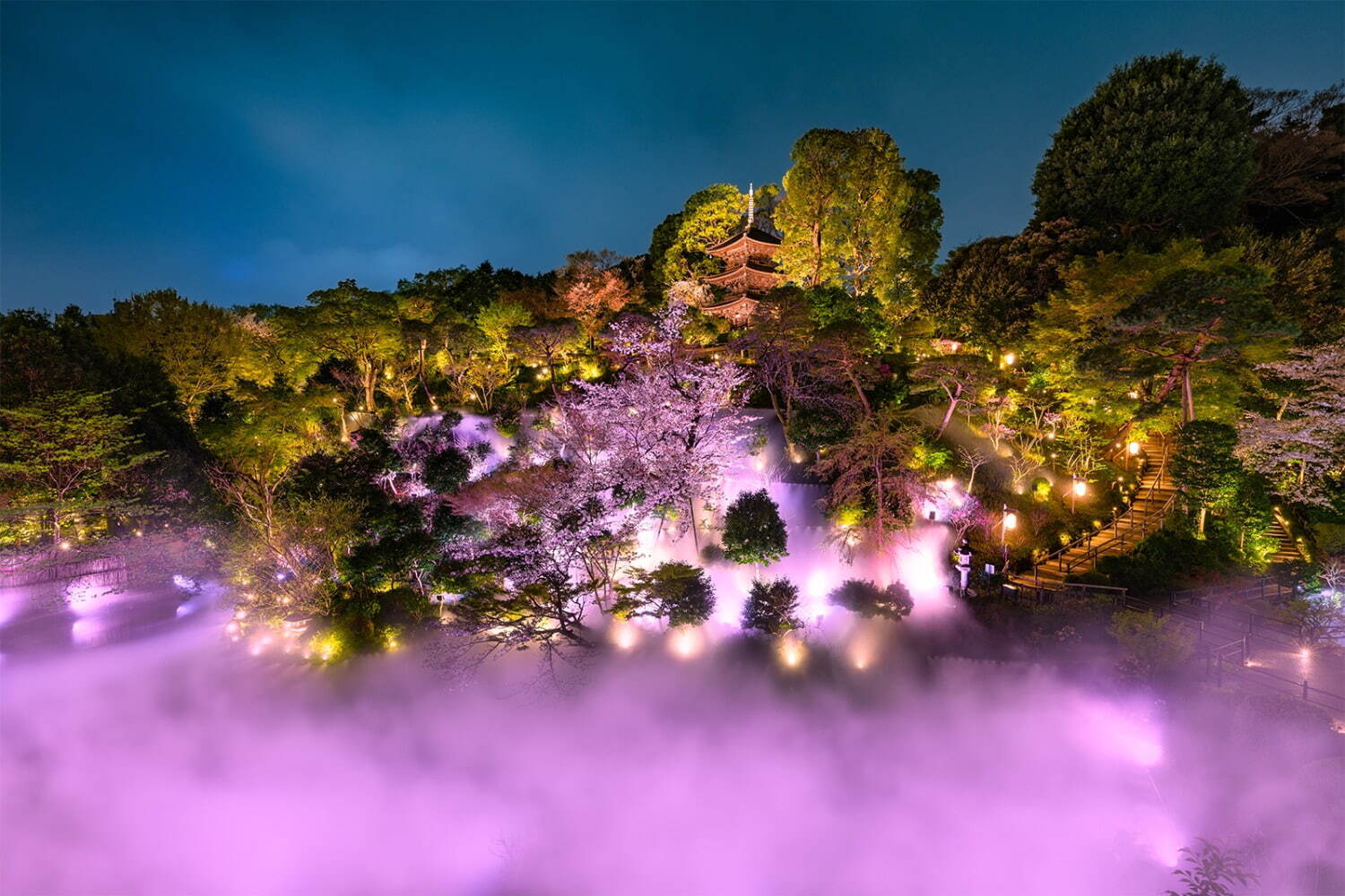 ホテル椿山荘東京“桜×光のアート”が彩る新スポット、ピンク色に染まる「夜桜雲海」も｜写真1