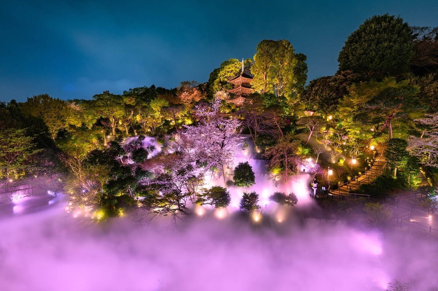 庭園｜ホテル椿山荘東京“桜×光のアート”が彩る新スポット、ピンク色に染まる「夜桜雲海」も