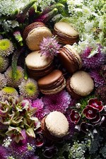 ピエール・エルメから春の訪れを祝うイースター限定チョコレート販売｜写真9