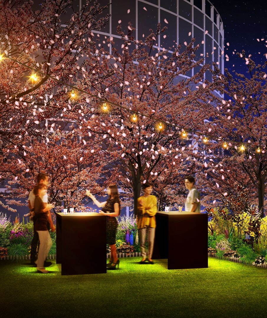 東京ミッドタウン“お花見”を楽しめる屋外ラウンジが登場、春らしい桜スイーツやライトアップも｜写真3
