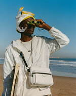 ルイ・ヴィトン(LOUIS VUITTON) タイガラマ｜写真9