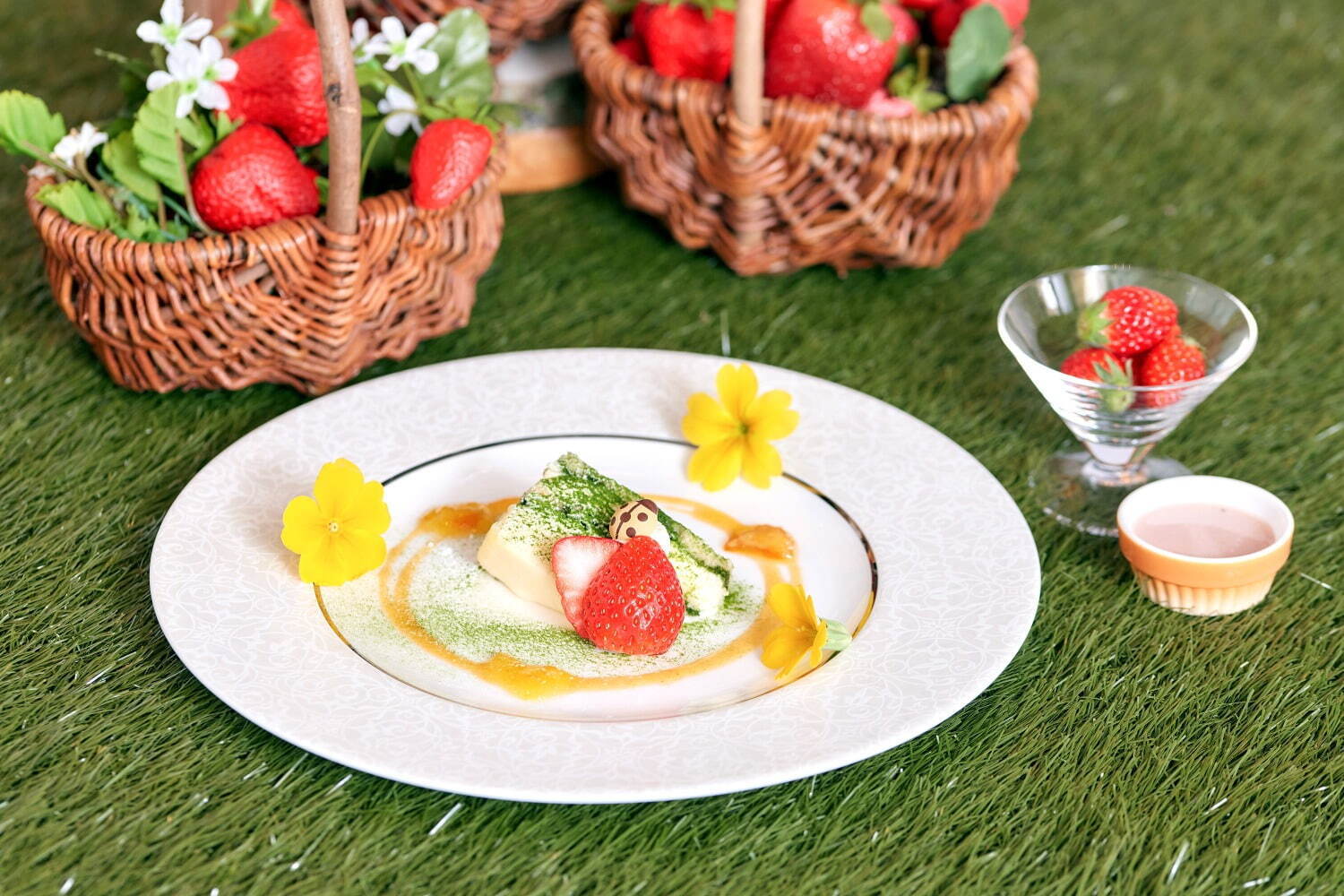 「はちみつの森のお花畑 抹茶のティラミス」