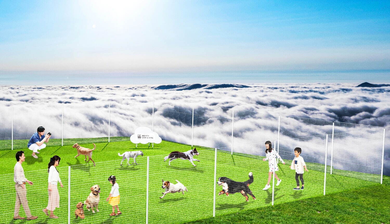星野リゾート トマムに“犬が雲の上を走る！？”「雲海テラスドッグラン」誕生、犬用クッキーなども｜写真10