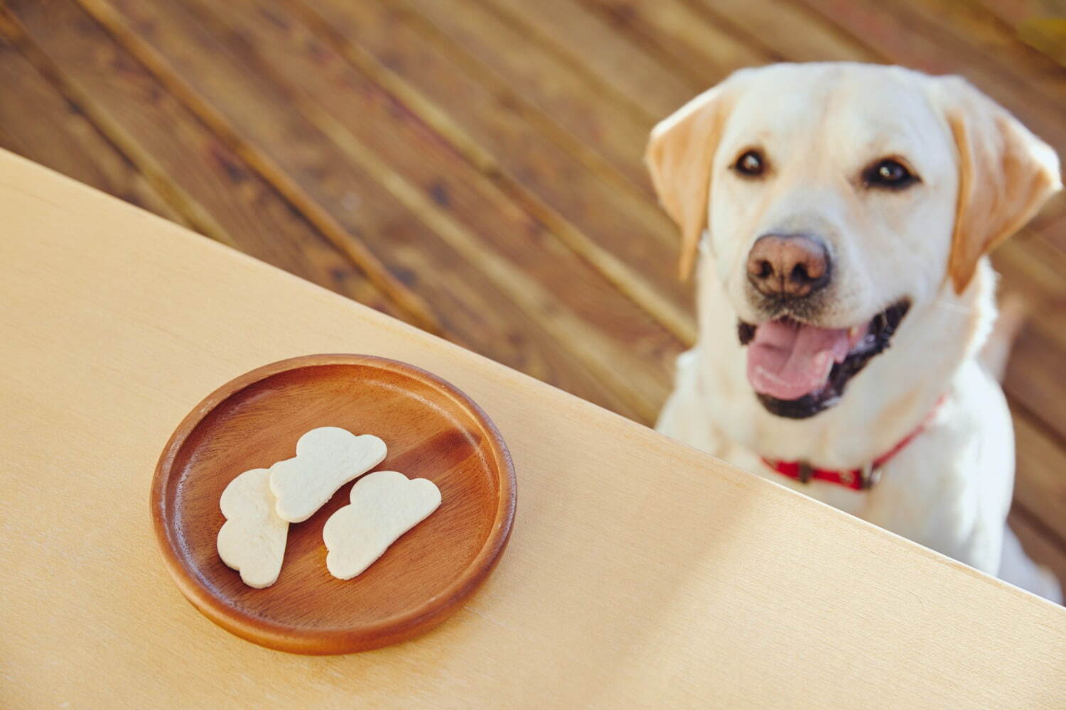 愛犬用クッキー600円