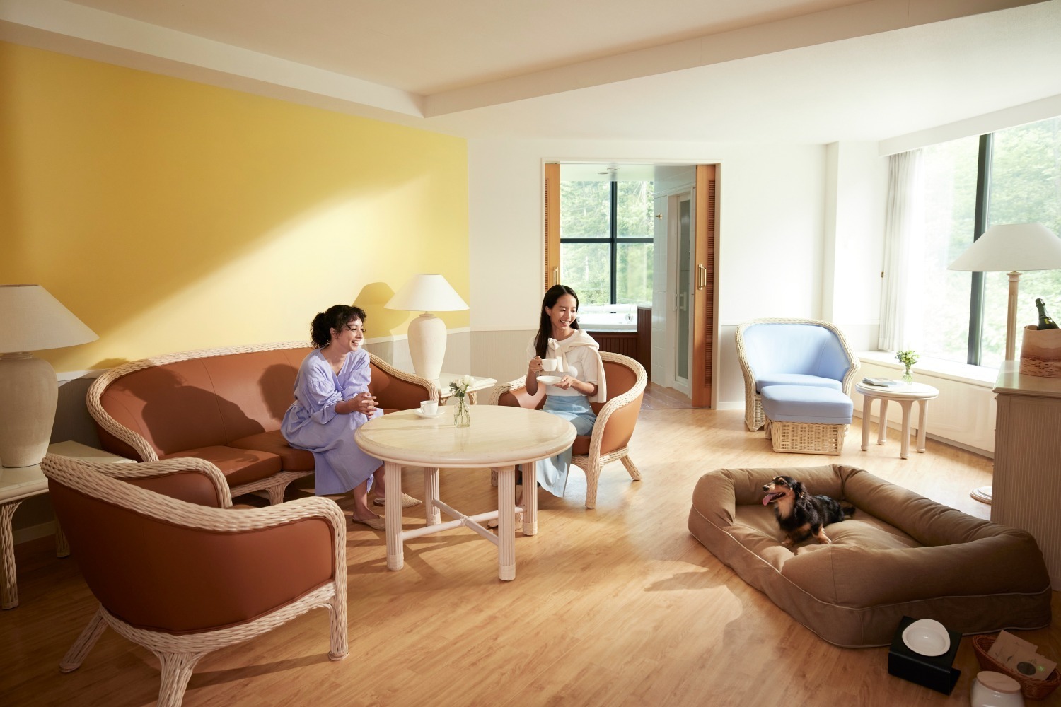 星野リゾート トマムに“犬が雲の上を走る！？”「雲海テラスドッグラン」誕生、犬用クッキーなども