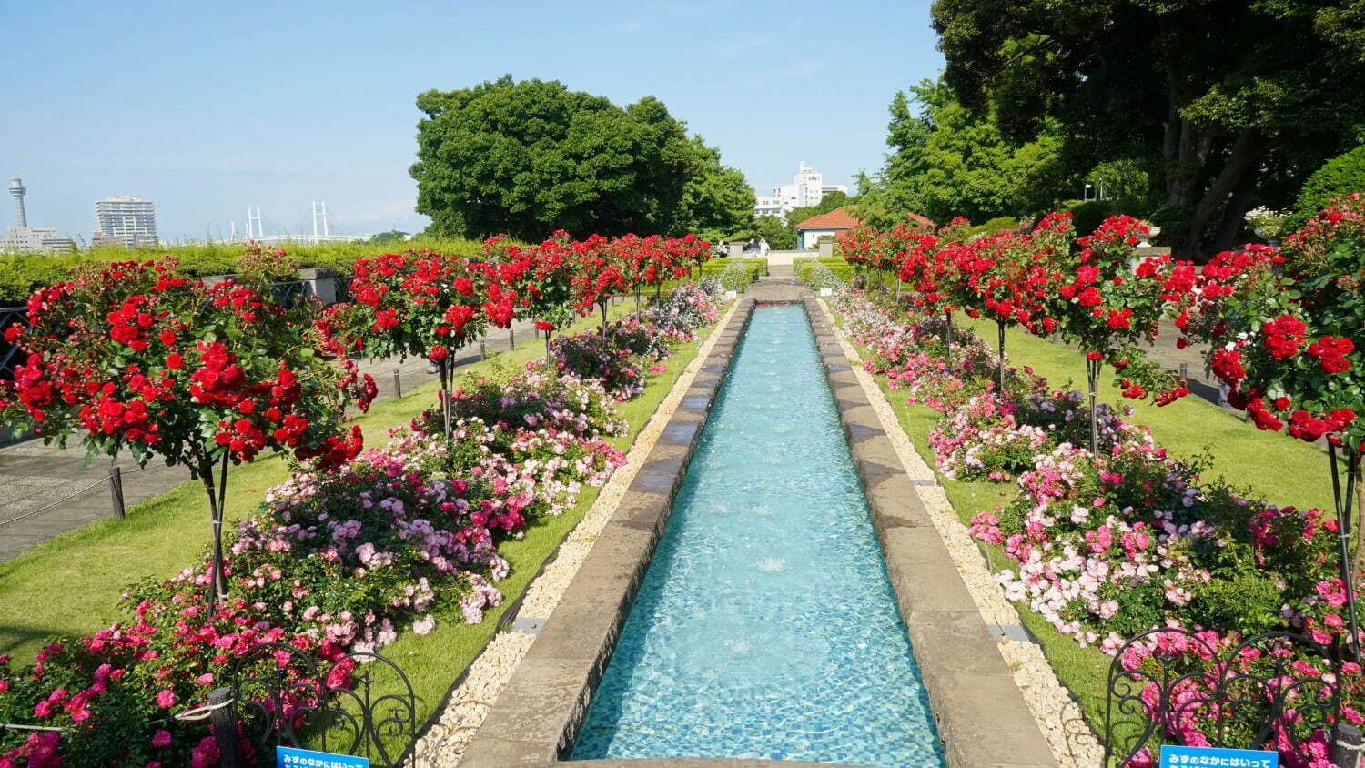 「ガーデンネックレス横浜 2023」リレー式に開花する桜やバラが横浜を彩るフラワーイベント｜写真16