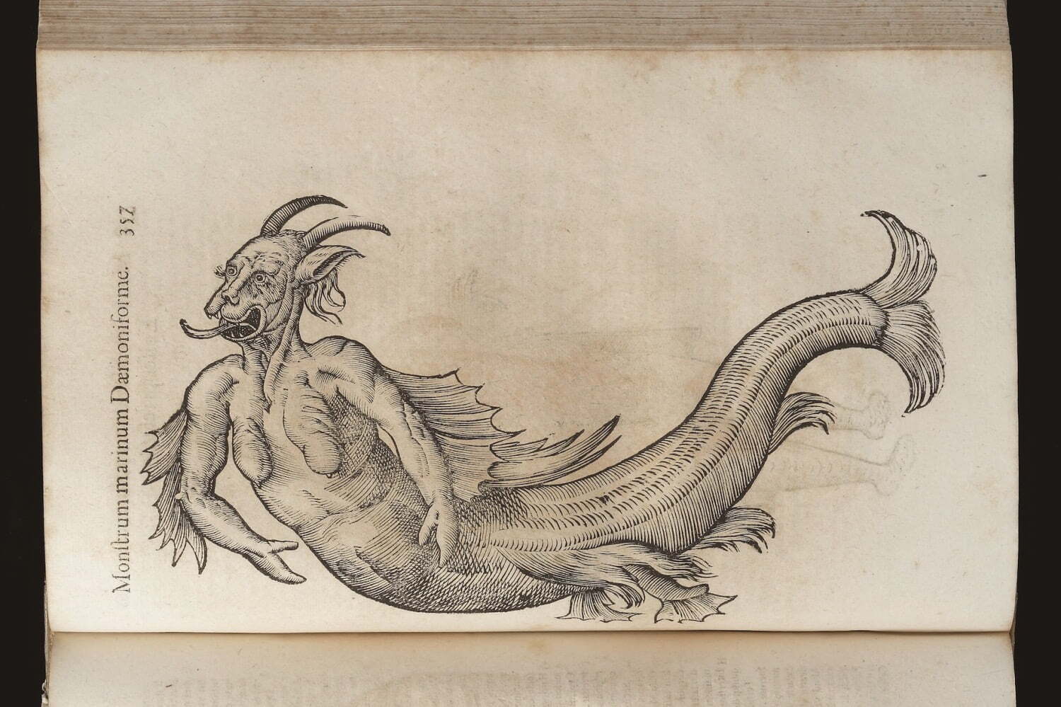 博物館｜特別展「驚異と怪異」福岡市博物館で - 人魚や河童など“創造界の生きもの”に着目、絵画など約350点