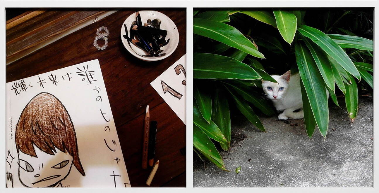 奈良美智 《NY Drawing (left); Yogyakarta Cat (right)》 「days 2003-2012」より　2003-12年　東京都写真美術館蔵
©Yoshitomo Nara