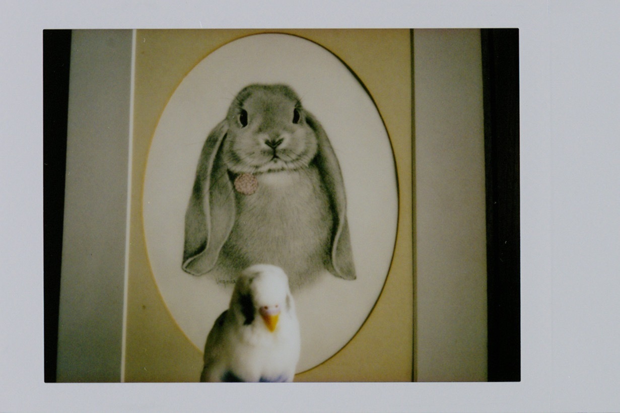 東京都写真美術館、写真の“セレンディピティ”に着目するコレクション展 - 日常における心の機微を捉える