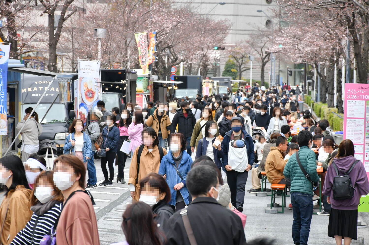 「みなとみらい21 さくらフェスタ2023」横浜・さくら通りで開催、500mの桜並木やパレード｜写真2