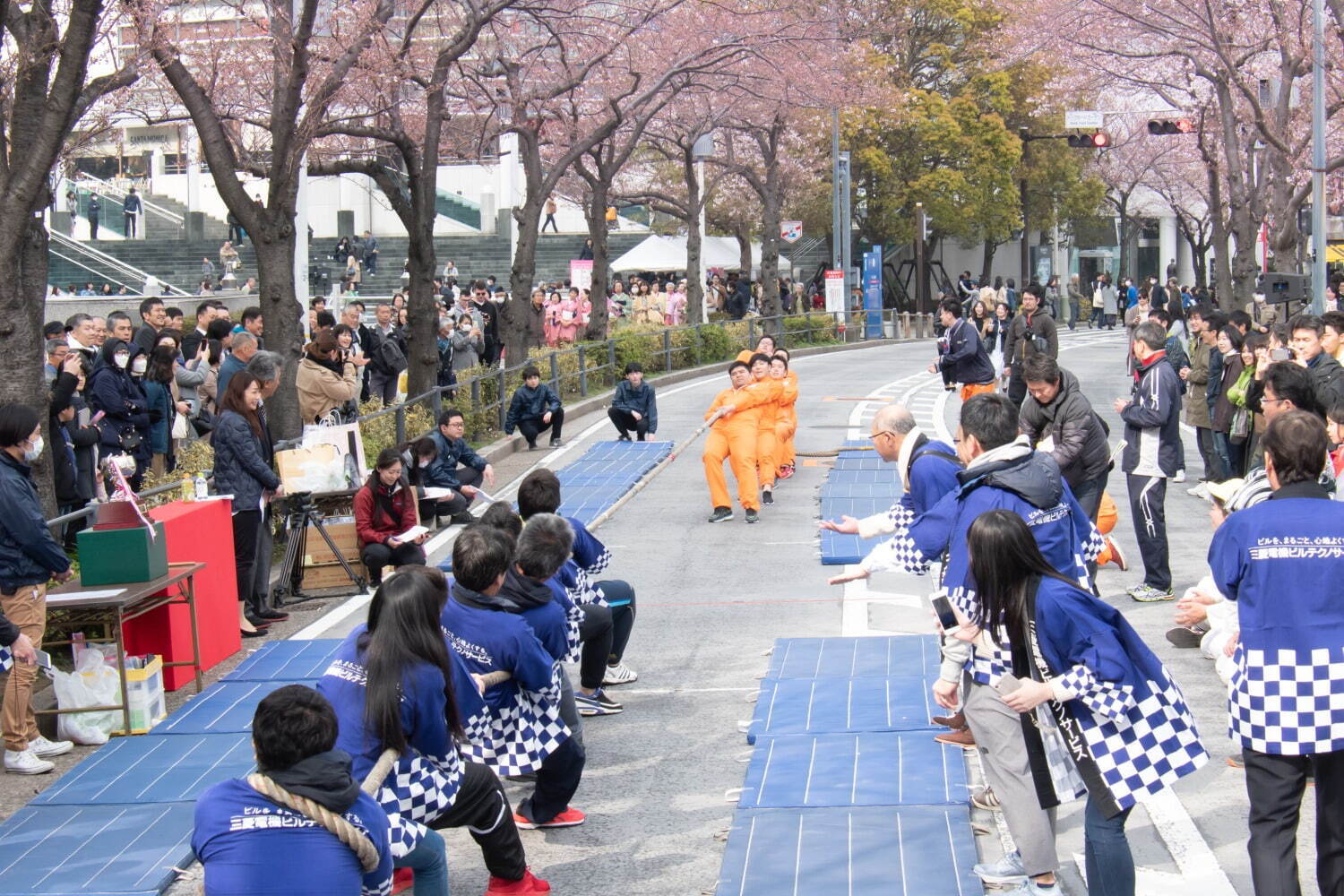 「みなとみらい21 さくらフェスタ2023」横浜・さくら通りで開催、500mの桜並木やパレード｜写真4