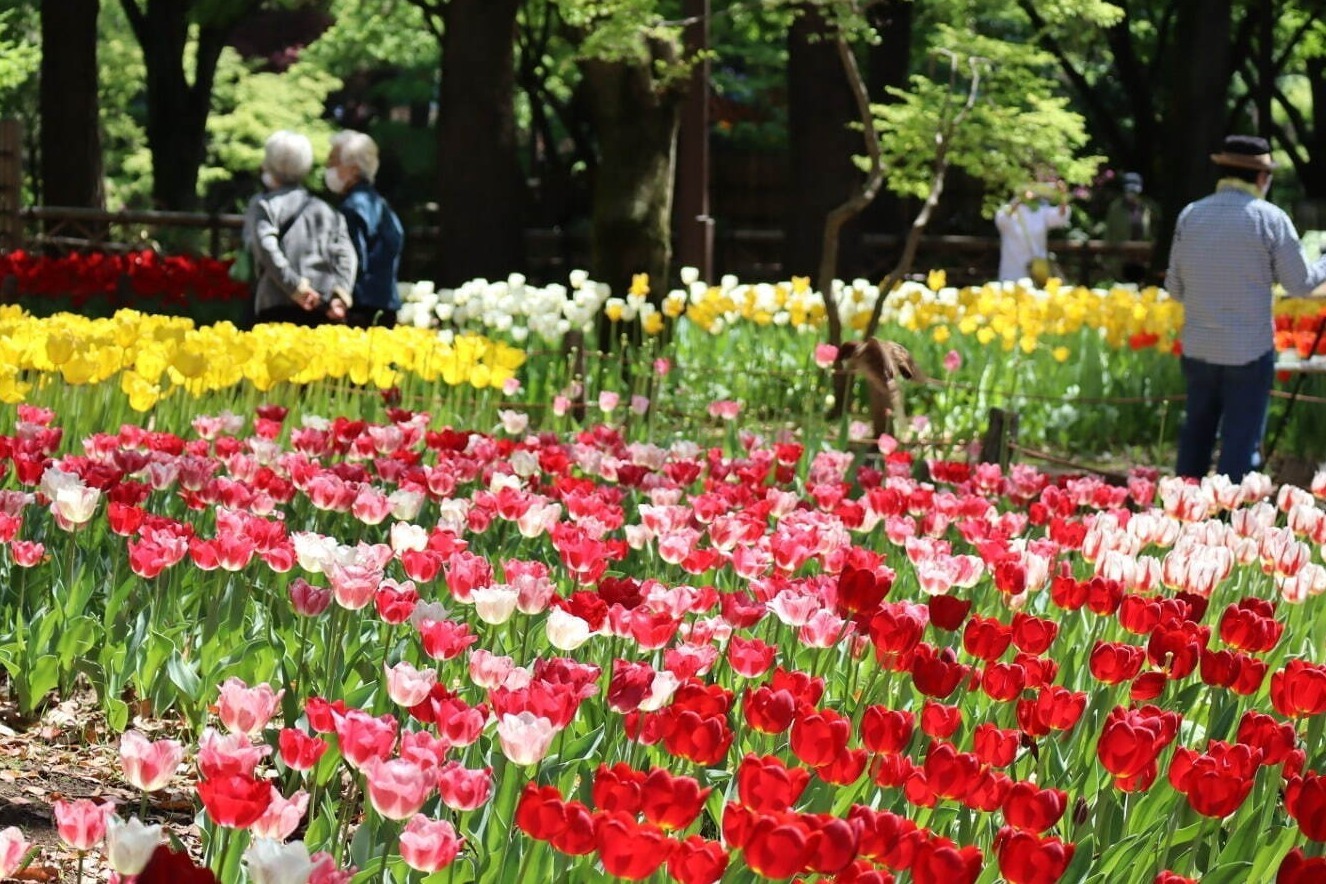 餃子｜【ゴールデンウィーク2023】関東＆関西のおすすめGWイベント、東京の人気おでかけスポットなど網羅