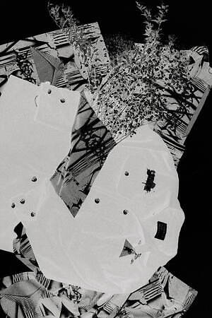 ジュヴェナイル ホール ロールコール(JUVENILE HALL ROLLCALL) 2023-24年秋冬ウィメンズコレクション  - 写真13