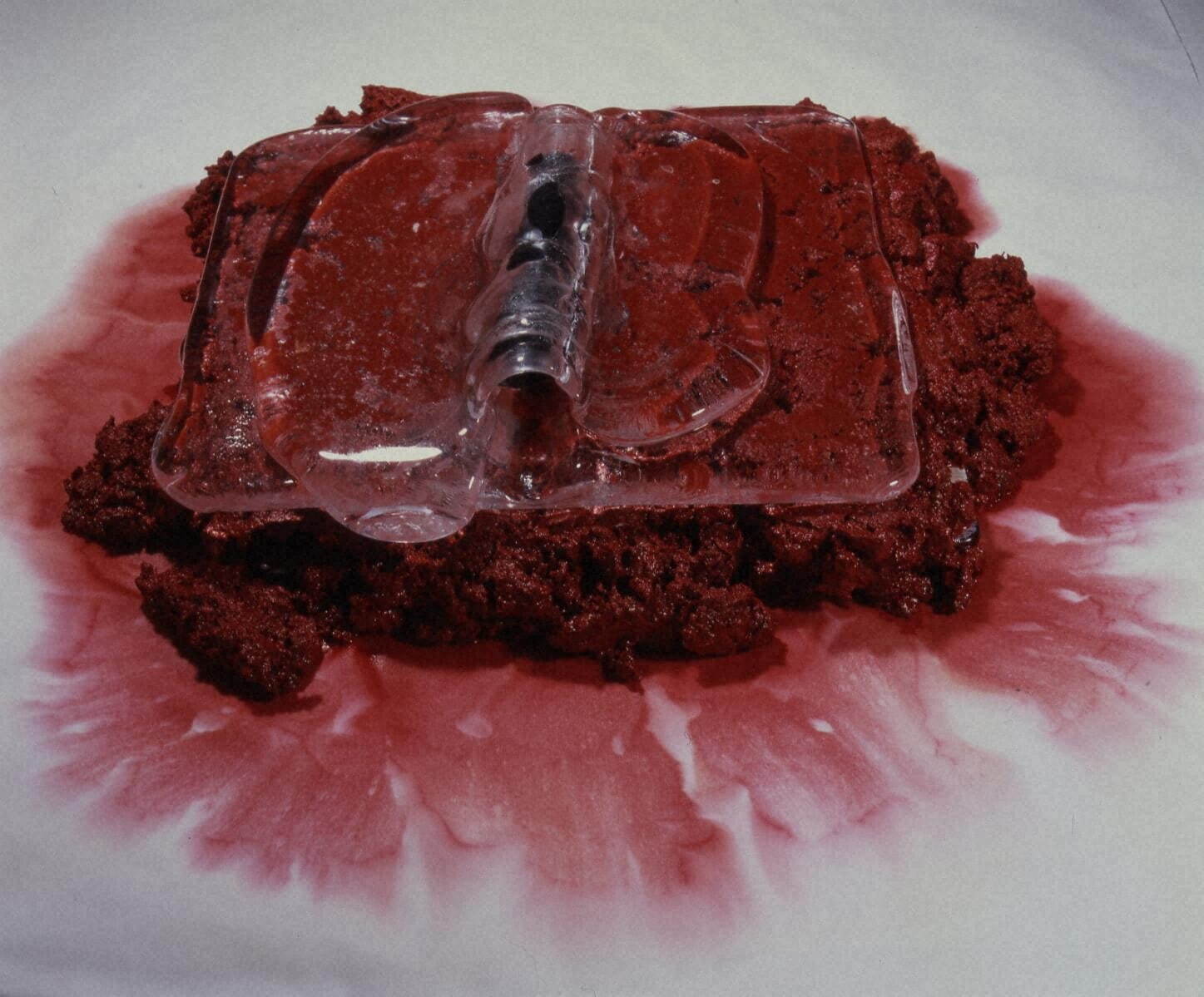 中川幸夫 《聖なる書》 1994年(2004年プリント)　金沢21世紀美術館蔵
© NAKAGAWA Yukio