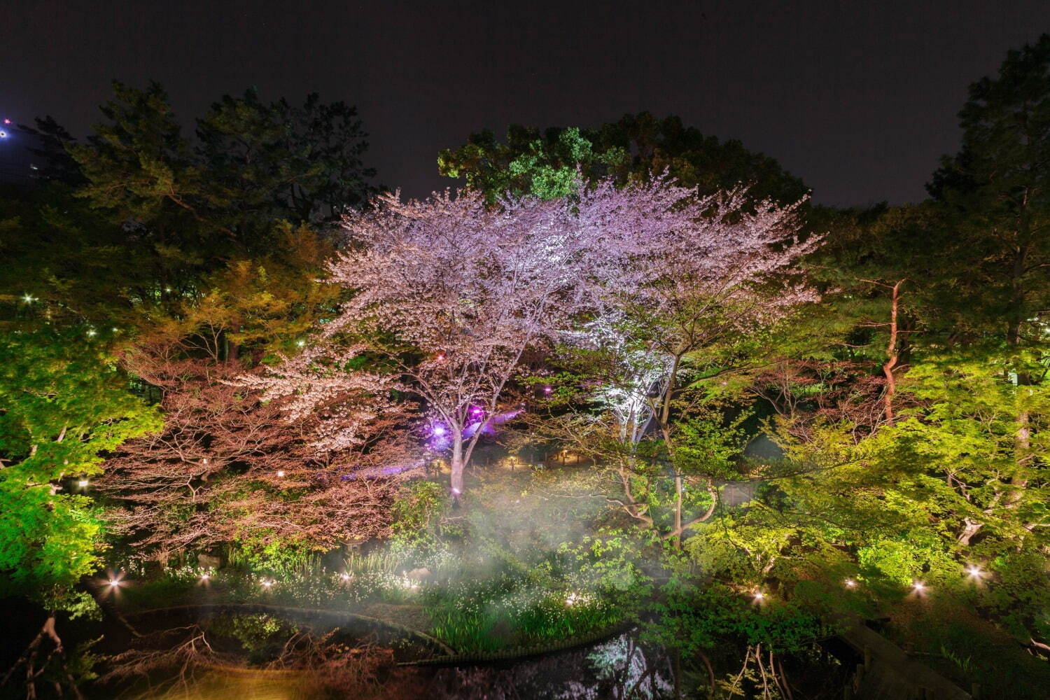 「御殿山さくらまつり2023」東京・品川で、“夜桜×霧”の幻想的なライトアップも｜写真2