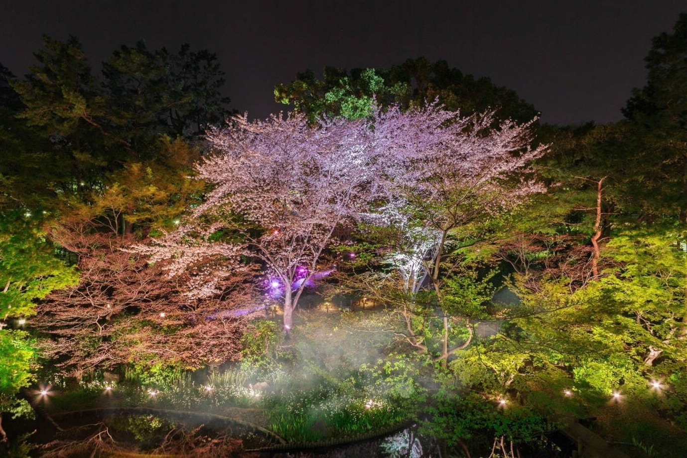 庭園｜「御殿山さくらまつり2023」東京・品川で、“夜桜×霧”の幻想的なライトアップも